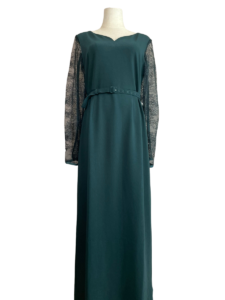 LACE SLEEVE REFINED DRESS
